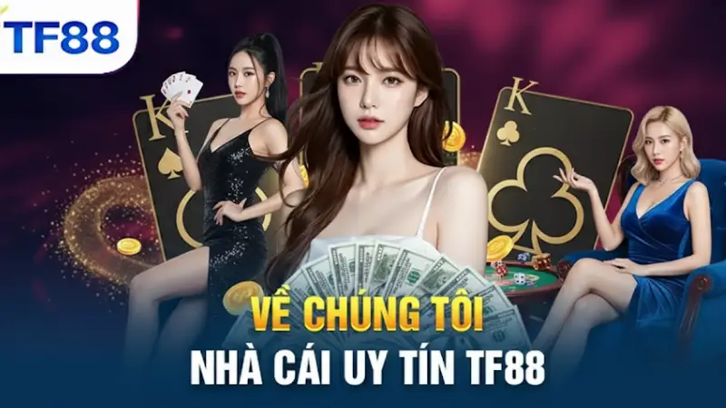 Về Chúng Tôi TF88 - Nhà Cái Uy Tín Với Trải Nghiệm Đỉnh Cao Về chúng tôi TF88